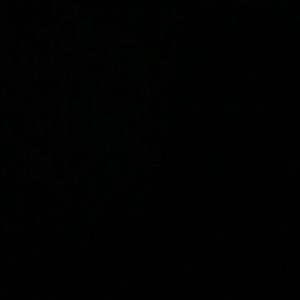 Meet your Posher, Max